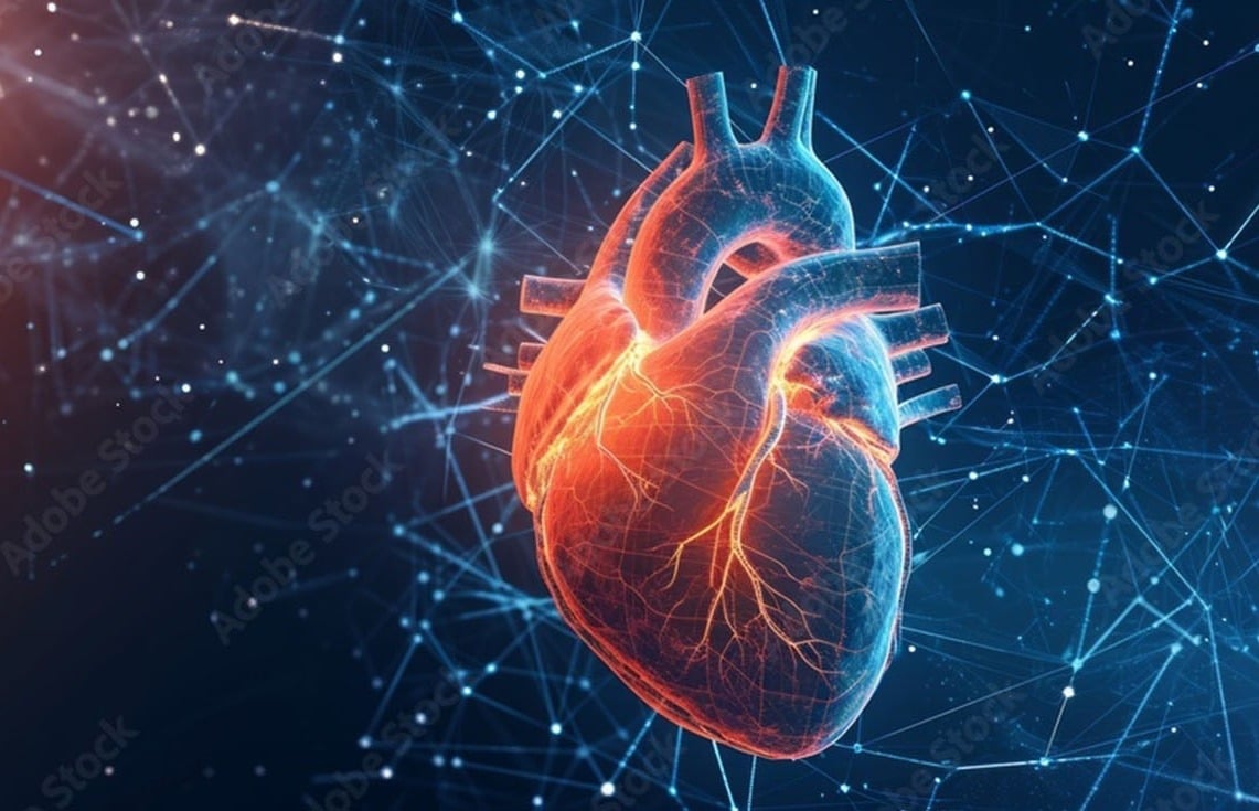 3D Heart Illustration